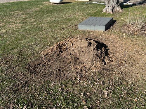 Stump Removal for Conrad's Stump Removal in Columbus, IN