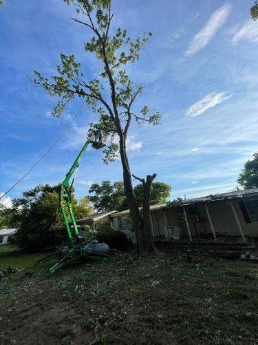 All Photos for Tree Guys Pressure Washing & Stump Grinding in Scottsboro, AL