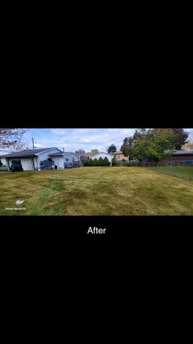 Spring And Fall Cleanups for Sals Lawn and Landscape in Oak Lawn, IL