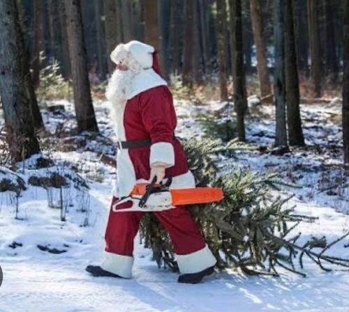  for McBee’s Tree Service in Sewanee, TN