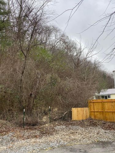 Tree Removal for Atwood’s Tree Care in Liberty,  KY