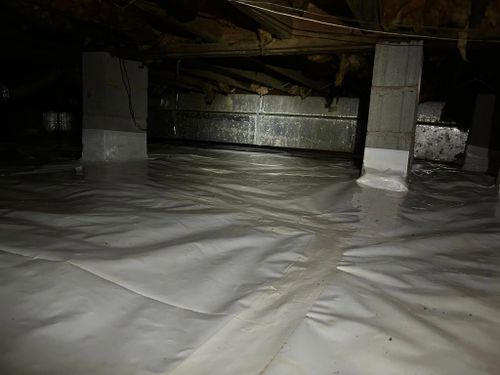 Quarterly Pest Maintenence for Winecoff Pest Control in Salisbury, NC