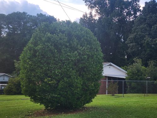 All Photos for Reg's Lawn Care Services in LaGrange, GA