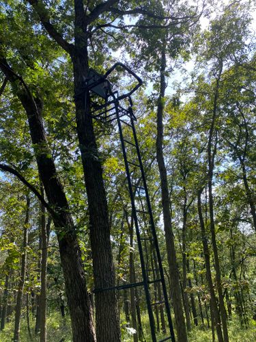 Hunting Stands/Tower Blind Construction for Two Young Bucks in Leon, IA