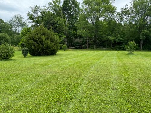  for Hale’s Hydroseeding in London, KY