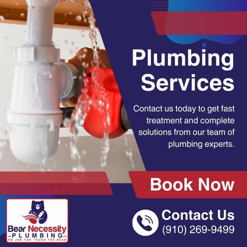 Plumbing Repairs for Bear Necessity Plumbing in Longs, SC