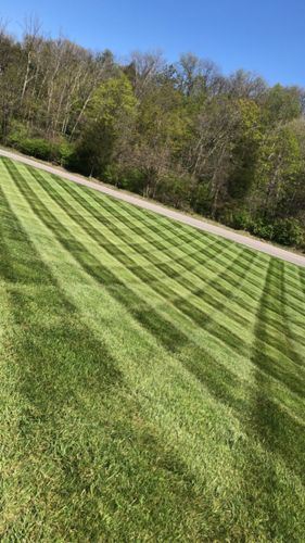 Residential Lawn Care for Norvell's Turf Management, Inc in Middletown, OH