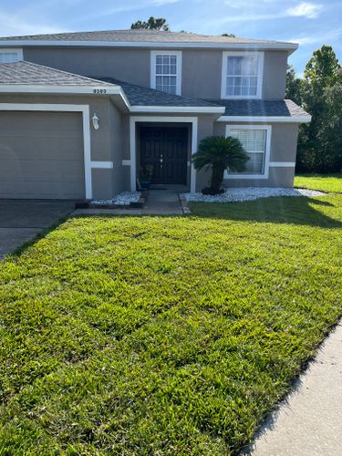 Sodding for Verimay's Garden and Landscaping in Hillsborough County, FL