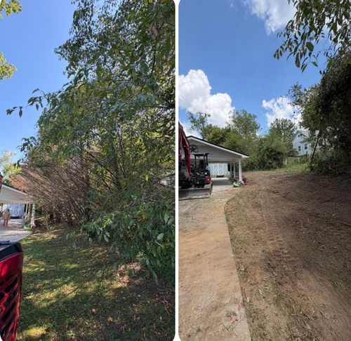  for McBee’s Tree Service in Sewanee, TN