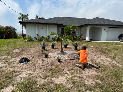 Landscape Design for MX Trees LLC in Englewood, FL