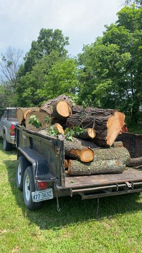 Tree Removal for Gray’s Tree Service Inc in Maurertown, VA