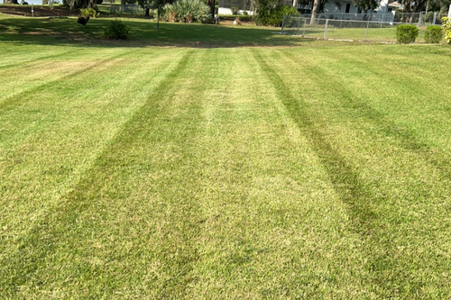 Lawn Care for Estrada All Pro Lawn Service in Auburndale, Florida