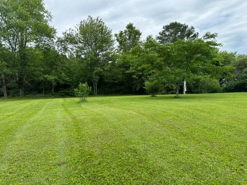  for Hale’s Hydroseeding in London, KY