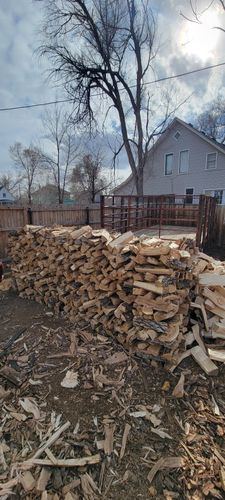 All Photos for Jv Tree Service, LLC in Greeley,  CO