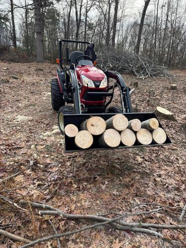 Stump Removal for Jills Stump Grinding and Firewood in Shelton, CT