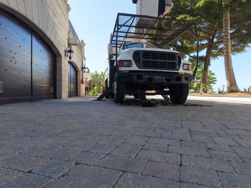 Tree Trimming for Adam's Tree and Stump Care in Sarasota, FL