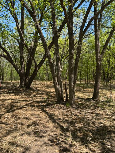  for Root Land Management in Watkins, MN