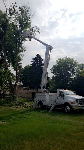  for Tree Tech in Luverne, MN