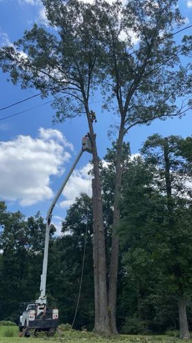 Fall and Spring Clean Up for Atwood’s Tree Care in Liberty,  KY