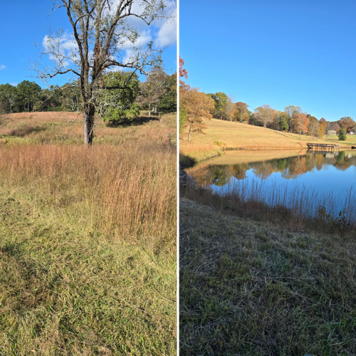  for Palmour's Lawn Care in Gainesville, GA