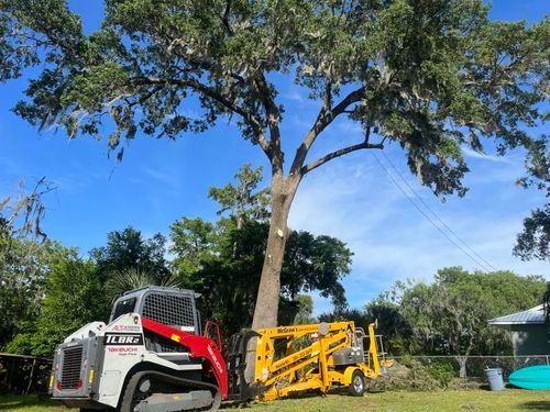 Tree Trimming for McGraw’s Lawn and Tree Service in DeLand, FL