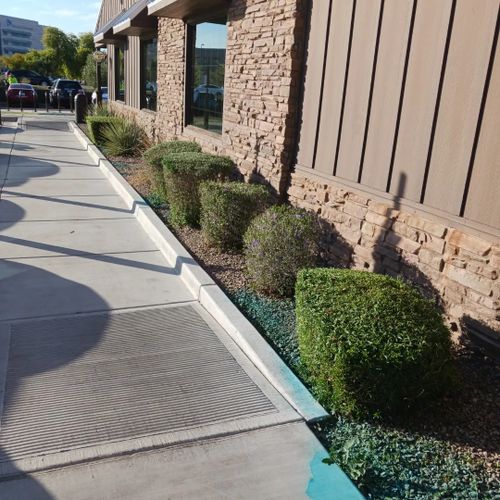 Landscape Design for CRAJE Landscaping LLC in Mesa, AZ