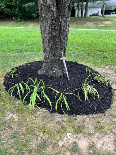 Mulch Installation for I & C Landscaping in Golden Beach, MD 