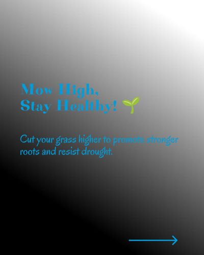 Irrigation System Design & Install for Ludlows Services in Clermont, FL