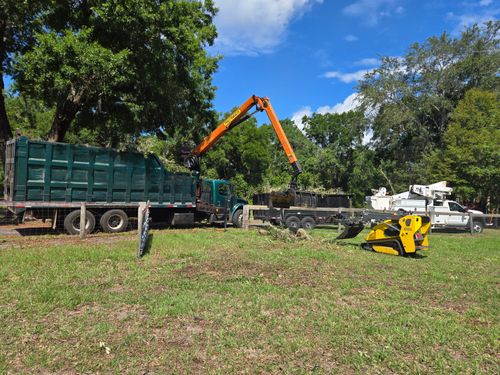 Underbrush Clearing for Near Me Tree Service, Inc. in DeLand, FL