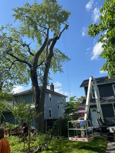 All Photos for Pro Tree Trim & Removal, Llc in Dayton, OH
