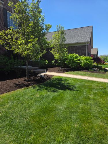  for Ivy Lawn and Landscaping in Oxford, MI