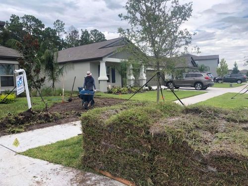 Sod Installation for Daniel Sons Landscaping &Maintenance in Tampa, Florida