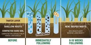 Warm Season Core Aeration for Earth First Turf, LLC in Cherokee County, GA