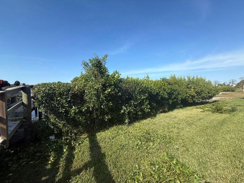 Site Work for MX Trees in Englewood, FL