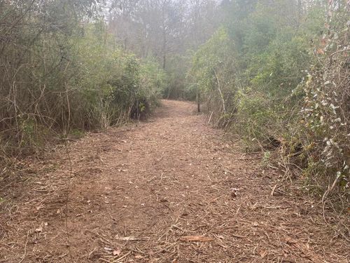 Land Clearing for South Mississippi Land Management LLC in Columbia, Mississippi