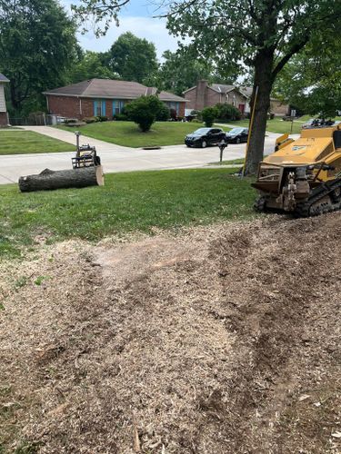 Stump Removal for Precision Tree Service, Inc. in Ryland Heights, KY