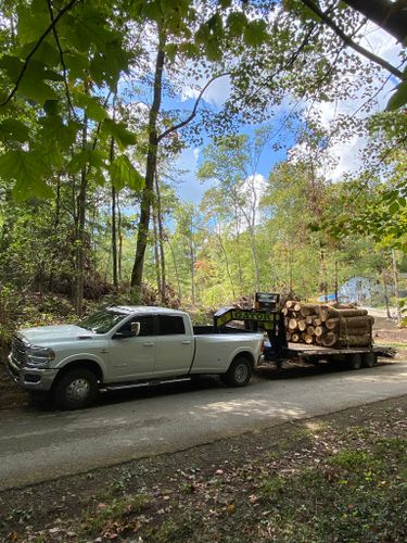  for B&B Land Management in Jamestown, TN