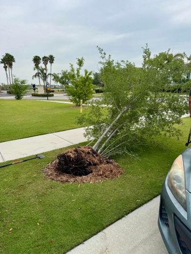 Landscaping for Shoreside Property Services in Apollo Beach, FL