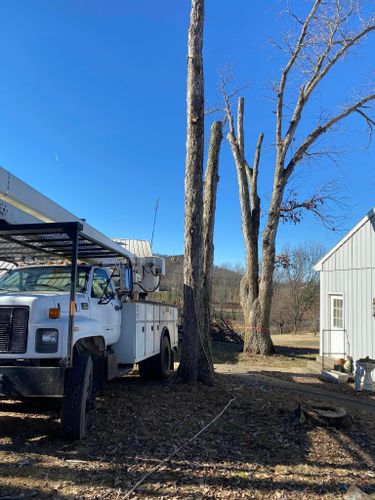 Fall and Spring Clean Up for Atwood’s Tree Care in Liberty,  KY