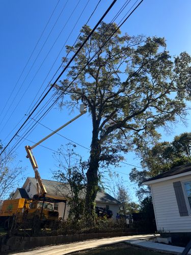  for ArborMax in Thomaston, GA