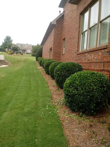 Trimming for Grass Monkey in Gainesville, GA