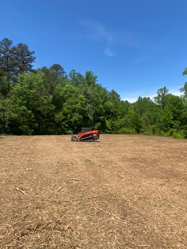 Lot Clearing for Southern Land Solutions Forestry Mulching, LLC in Cleveland, NC