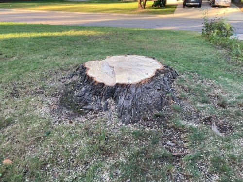 Seasonal Clean Up for Titan Landscaping in Rosemount, MN