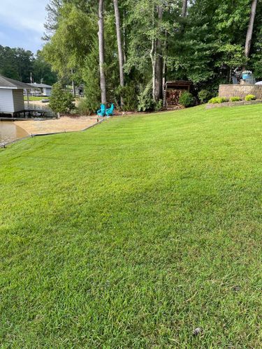 Tree Removal for Rosales Landscaping LLC in Lake Gaston, North Carolina