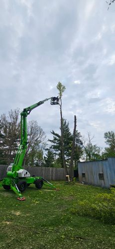 Tree Removal for Olson Tree Service, Inc in Rockford, IL