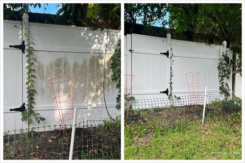 Fence Washing for Pressure Washing Warrior LLC in Ocoee, FL