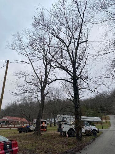 Fall and Spring Clean Up for Atwood’s Tree Care in Liberty,  KY