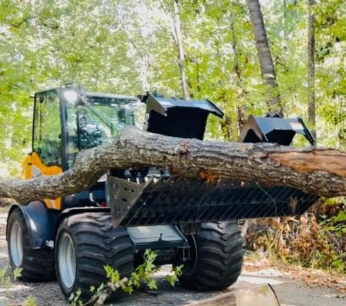 Tree Removal for Lamb Brothers Clearing in Murray, KY