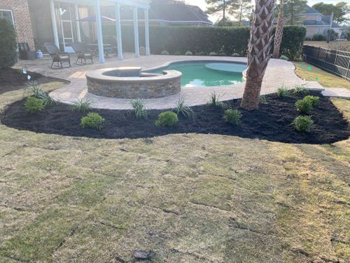 All Photos for New Creation Landscaping in Myrtle Beach, SC