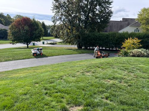 Aerating and overseeding for Perillo Property maintenance in Hopewell Junction, NY